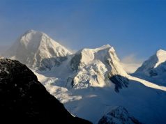 GMHM : Sur le fil de Darwin