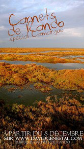 Carnets de rando #2 Camargue