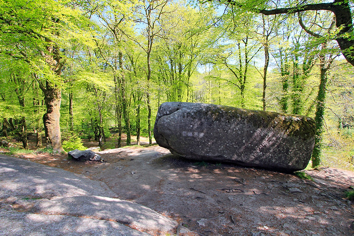 La Roche Tremblante dans la forêt de Huelgoat La Roche Tremblante dans la forêt de Huelgoat