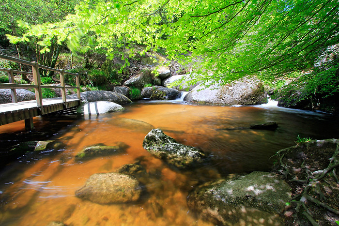 La mare aux Sangliers La mare aux Sangliers