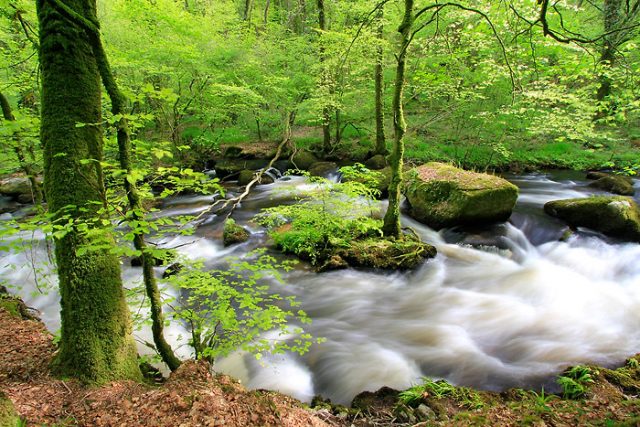 Randonnée dans la forêt de Huelgoat Randonnée dans la forêt de Huelgoat