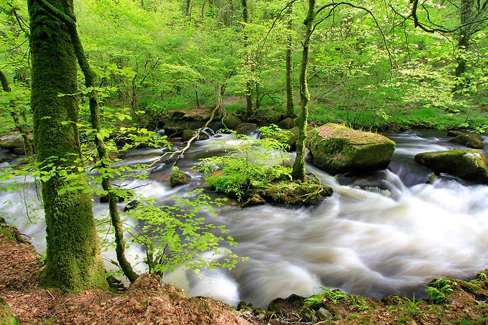 Randonnée dans la forêt de Huelgoat Randonnée dans la forêt de Huelgoat