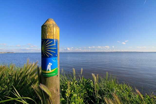 Randonnée sur le bassin d'Arcachon