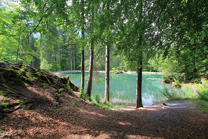 Cirque de Sixt-Fer-à-Cheval Cirque de Sixt-Fer-à-Cheval