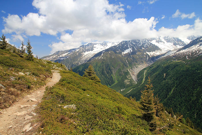 Le sentier du retour Randonnée au lac Blanc à Chamonix