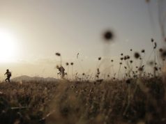 Un Pas De Côté, la Chartreuse par les Sentes Oubliées