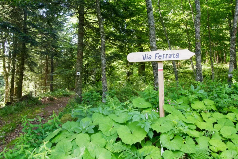 viaferrata-capucin-sancy-1