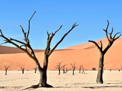 Namibie : une super destination pour randonner dans le désert