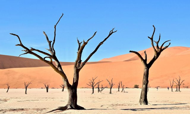 parsing-eye-493247-unsplash-1920