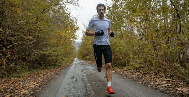 LP_Collection-Banner_1170x600